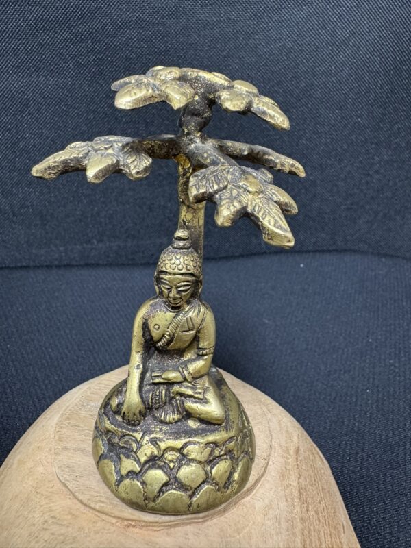 Statut Bouddha en Méditation contre l'Arbre de vie. En bronze