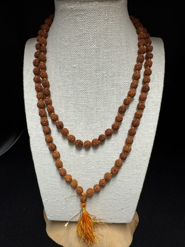 Mala en graine de Rudraksha 108 perles